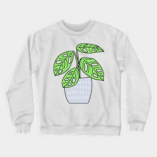 Gatenplant Monstera Obliqua Monkey Leaf Color Crewneck Sweatshirt